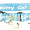Halsband Kat Junior Kitten Kitty Cat Assorti