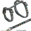 Kittentuig Junior Met Riem Kitty Cat Assorti 21-33X0,8 Cm / 120 Cm