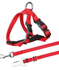 Kattentuig Voor In De Auto Rood 20-50X1,5 Cm