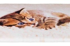 Ligmat Kat Tilly Beige 50X40 Cm
