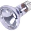 Reptiland Warmtelamp Neodymium 50 Watt 6,3X6,3X10 Cm 3 St