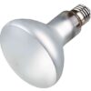 Reptiland Prosun Mixed D3 Uv-B Lamp Zelfstartend 100 Watt 9,5X9,5X13 Cm