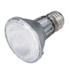 Reptiland Heatspot Pro Warmtelamp Halogeen 35 Watt 6,5X6,5X8,8 Cm