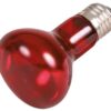 Reptiland Warmtelamp Infrarood 50 Watt 6,3X6,3X10 Cm 3 St
