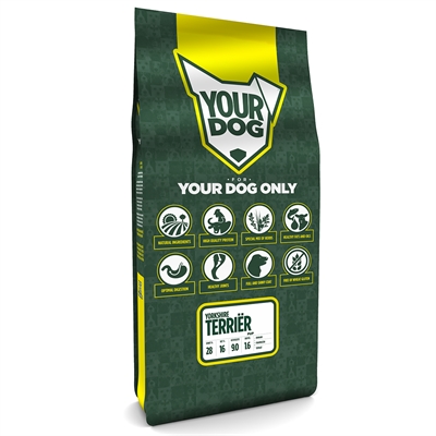 Yorkshire Terriër Pup 12 Kg