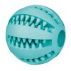 Denta Fun Bal Rubber Muntsmaak 5Cm 4St