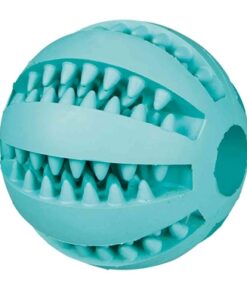 Denta Fun Bal Rubber Muntsmaak 7Cm 3St