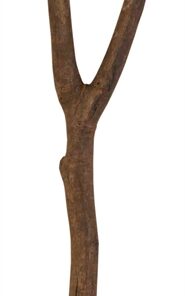 Zitstok Y-Vorm Schorshout 20X1,5Cm 3St