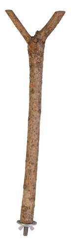 Zitstok Y-Vorm Schorshout 35X1,8Cm 3St