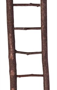Ladder Schorshout 26Cm 4St