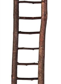 Ladder Schorshout 30Cm 4St