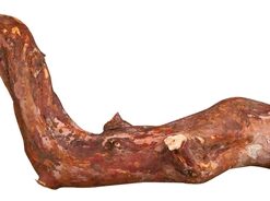 Zitstok Schorshout 25X1,5-2,5Cm 3St