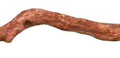 Zitstok Schorshout 45X2,5-5Cm 3St