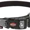 Halsband Hond Silver Reflect Zwart / Zilvergrijs 35-55X2 Cm