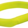 Lichtgevende Halsband Hond Flash Usb Silicone Groen 70X1,8 Cm 2 St