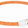 Lichtgevende Halsband Hond Flash Usb Tpu / Nylon Oranje 45X0,7 Cm