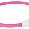 Lichtgevende Halsband Hond Flash Usb Tpu / Nylon Roze 45X0,7 Cm