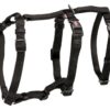 Hondentuig Stay Zwart 32-45X1 Cm