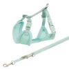 Junior Puppytuig Soft Met Riem Mintgroen 26-34X1 Cm / 2 Mtr