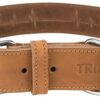 Halsband Hond Rustic Vetleer Heartbeat Bruin 55-65X4 Cm