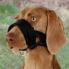 Snuitje Nylon Zwart 22-35 Cm 2 St