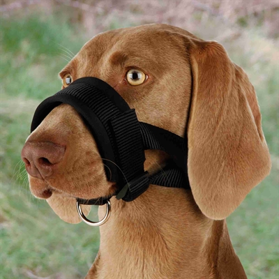 Snuitje Nylon Zwart 22-35 Cm 2 St