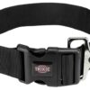 Halsband Hond Premium Zwart 55-80X5 Cm
