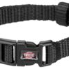 Halsband Hond Premium Zwart 22-35X1 Cm