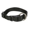 Halsband Hond Premium Zwart 30-45X1,5 Cm