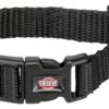 Halsband Hond Premium Zwart 15-25X1Cm