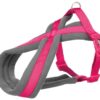 Hondentuig Premium Touring Fuchsia 60-100X2,5 Cm