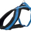 Hondentuig Premium Touring Royal Blauw 50-90X2,5 Cm