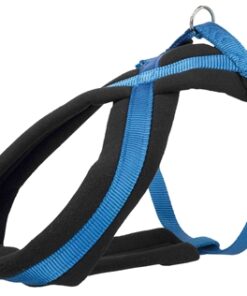 Hondentuig Premium Touring Royal Blauw 50-90X2,5 Cm