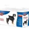 Luiers Voor Teven Xs-S 20-28 Cm 2X12 St