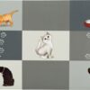 Placemat Patchwork Cat Grijs 44X28 Cm 6 St
