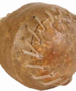 Kauwbal Genaaid 8 Cm 10X170 Gr