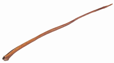 Bullenpees Gedroogd 70-80 Cm 10 St