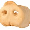 Varkensneus Gedroogd Groot 50 St
