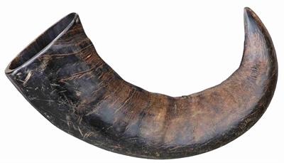 Natuur-Kauwhoorn Van De Buffel Groot L 6 St
