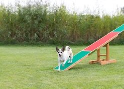 Agility Wip 300X34X54 Cm