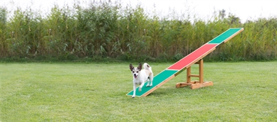 Agility Wip 300X34X54 Cm