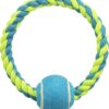Touwring Met Tennisbal Lime/Blauw 18X6X6 Cm 3 St