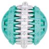 Denta Fun Natuurrubber Bal Met Muntsmaak 6X6X6 Cm 3 St