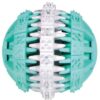 Denta Fun Natuurrubber Bal Met Muntsmaak 7X7X7 Cm 3 St