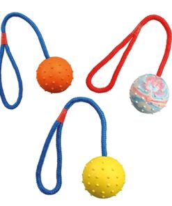 Natuurrubber Bal Aan Koord Assorti 30X6X6 Cm 3 St