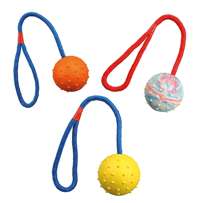 Natuurrubber Bal Aan Koord Assorti 30X6X6 Cm 3 St