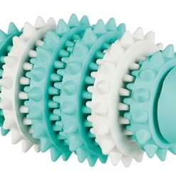 Denta Fun Natuurrubber Rugby Met Muntsmaak 15 Cm 3 St