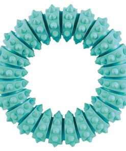 Denta Fun Natuurrubber Ring Met Muntsmaak 12X12X12 Cm 3 St