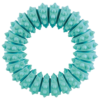 Denta Fun Natuurrubber Ring Met Muntsmaak 12X12X12 Cm 3 St