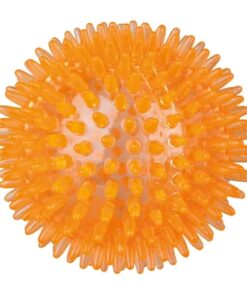 Egelbal Tpr Oranje 8X8X8 Cm 3 St